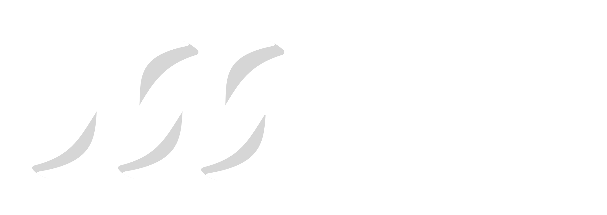 Skills Solutions Group Ltd White Logo